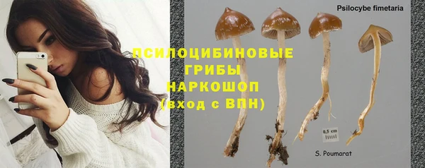 каннабис Корсаков