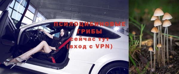 каннабис Корсаков
