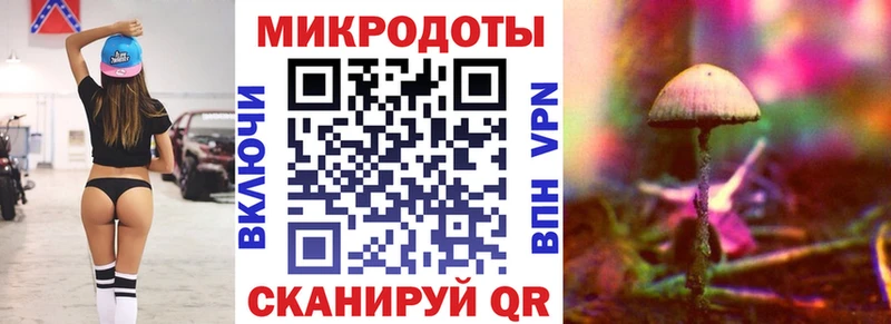 Псилоцибиновые грибы Psilocybine cubensis Томск