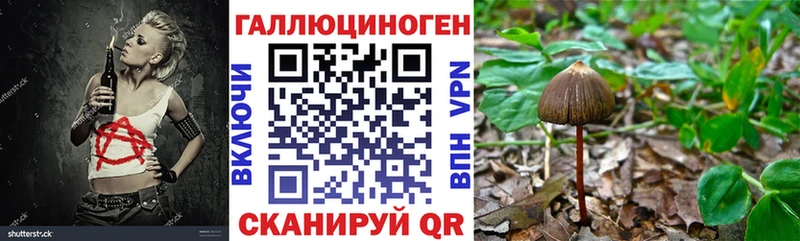Купить  Томск  Псилоцибиновые грибы мухоморы 